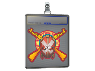 Sticker Slab | Master Guardian Elite