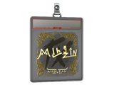 Sticker Slab | mlhzin (Gold) | Austin 2025