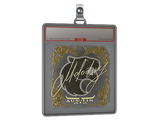 Sticker Slab | molodoy (Gold) | Austin 2025