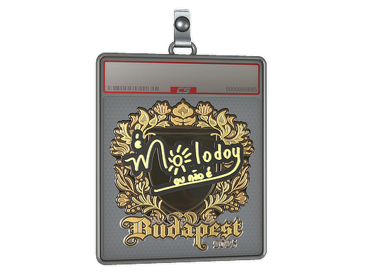 Sticker Slab | molodoy | Budapest 2025