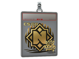 Sticker Slab | Nemiga (Gold) | 2020 RMR