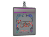 Sticker Slab | nicx (Holo) | Austin 2025