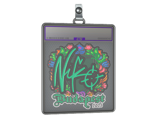 Sticker Slab | NiKo | Budapest 2025