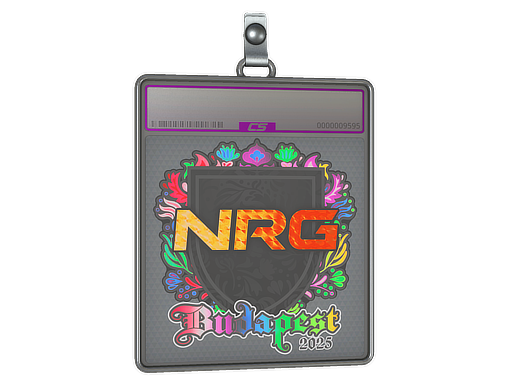 Sticker Slab | NRG | Budapest 2025