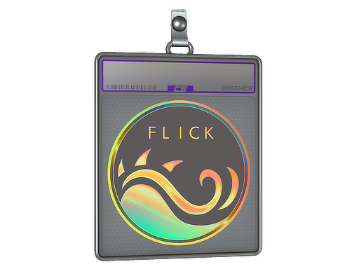 Sticker Slab | Ocean Sunset Flick - CS2 Sticker