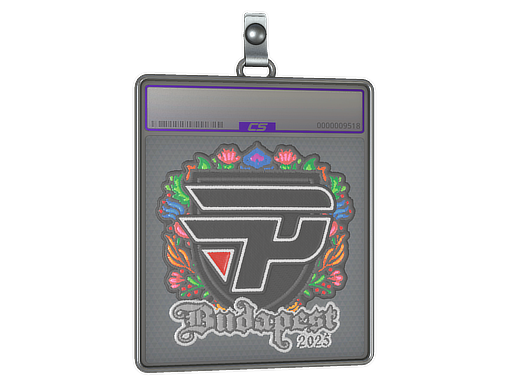 Sticker Slab | paiN Gaming | Budapest 2025