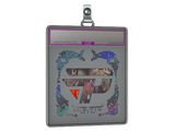 Sticker Slab | paiN Gaming (Holo) | Austin 2025
