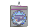 Sticker Slab | paiN Gaming (Holo) | Cologne 2026