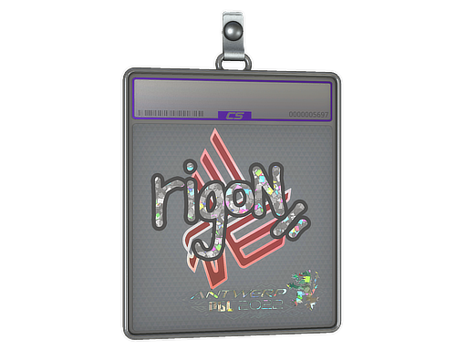 rigoN - CS2 Sticker