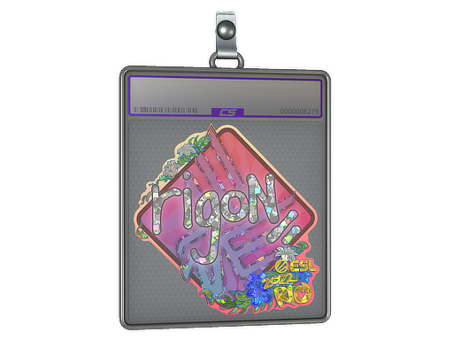 rigoN - CS2 Sticker