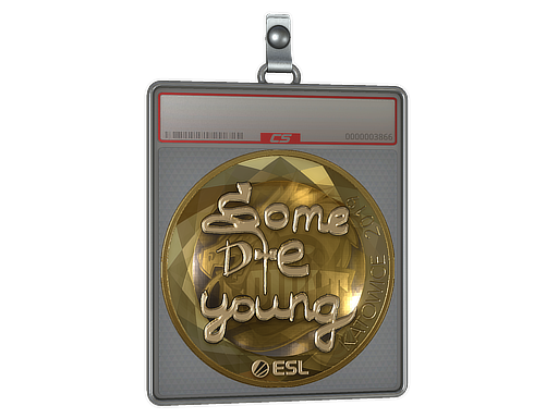 Sticker Slab | sdy (Gold) | Katowice 2019