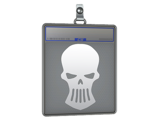 Sticker Slab | Silver Skulls