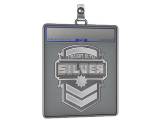 Sticker Slab | Silver