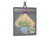 Sticker Slab | siuhy (Holo) | Rio 2022