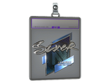 Sticker Slab | SIXER (Foil) | Boston 2018