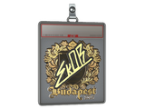 Sticker Slab | sk0R (Gold) | Budapest 2025