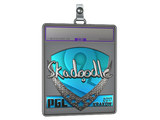 Sticker Slab | Skadoodle (Foil) | Krakow 2017