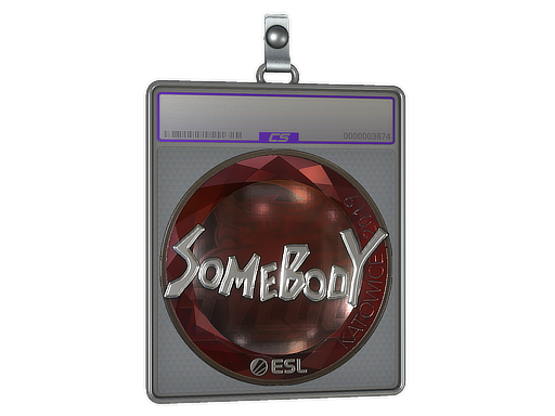 somebody - CS2 Sticker