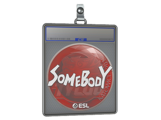 somebody - CS2 Sticker