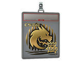 Sticker Slab | Spirit (Gold) | 2020 RMR