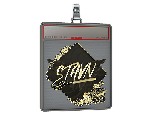 stavn - CS2 Sticker