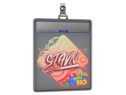 stavn - CS2 Sticker