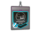 Sticker Slab | steel (Foil) | Cluj-Napoca 2015