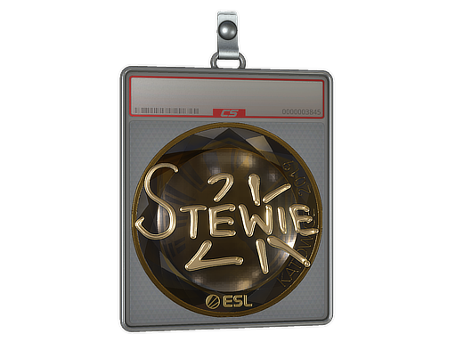 Sticker Slab | Stewie2K | Katowice 2019