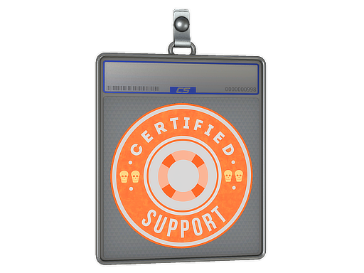 Sticker Slab | Support - CS2 Sticker