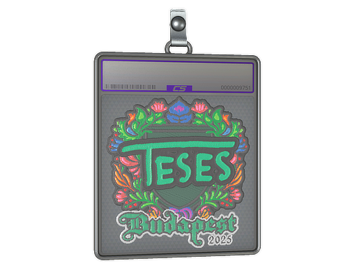 Sticker Slab | TeSeS | Budapest 2025