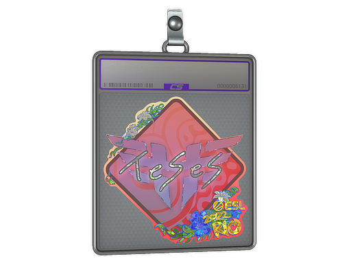 TeSeS - CS2 Sticker