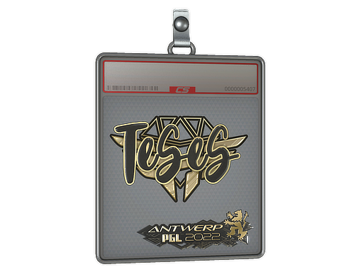 Sticker Slab | TeSeS (Gold) | Antwerp 2022