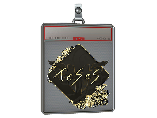TeSeS - CS2 Sticker