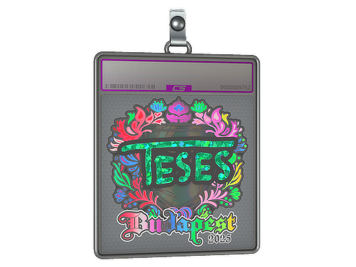 Sticker Slab | TeSeS | Budapest 2025