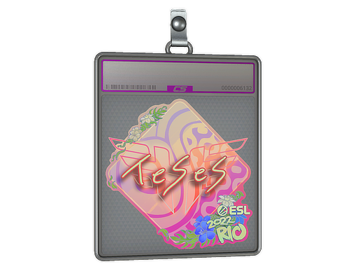 TeSeS - CS2 Sticker