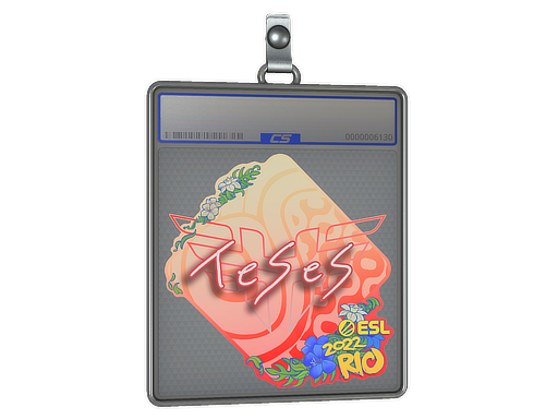 TeSeS - CS2 Sticker