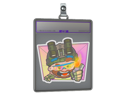 Sticker Slab | Try Hard
