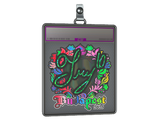 Sticker Slab | TRY (Holo) | Budapest 2025