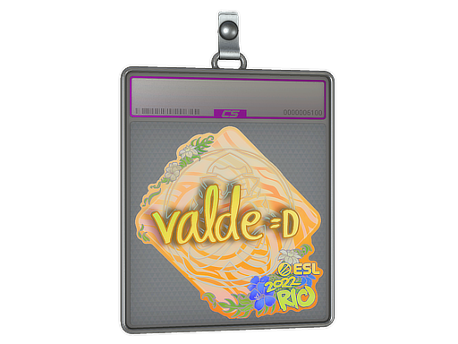 Sticker Slab | v4lde (Holo) | Rio 2022