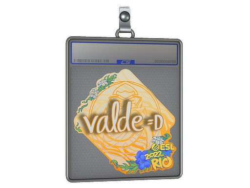 Sticker Slab | v4lde | Rio 2022