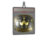 Sticker Slab | Wildcard (Gold) | Austin 2025