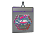 Sticker Slab | Winstrike Team (Holo) | London 2018