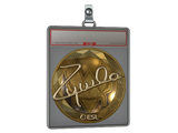 Sticker Slab | ZywOo (Gold) | Katowice 2019