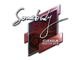 Sticker | somebody | Boston 2018