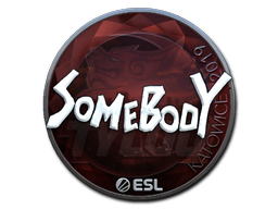 Sticker | somebody | Katowice 2019
