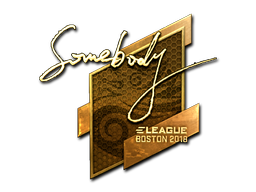 Sticker | somebody | Boston 2018