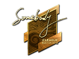 Sticker | somebody (Gold) | Boston 2018