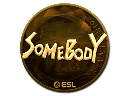 Sticker | somebody | Katowice 2019
