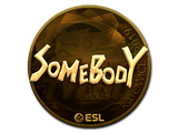 Artwork for Sticker | somebody (Gold) | Katowice 2019