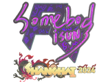 Artwork for Sticker | somebody (Holo) | Shanghai 2024